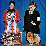 Everythinga.jpg (21736 bytes)