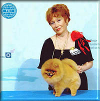 KingOfCowboysa.jpg (15761 bytes)