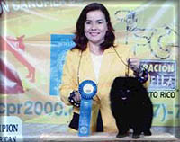 LatChAmeliaa.jpg (16707 bytes)