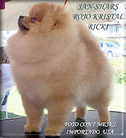 RojoKristalRicka.jpg (16715 bytes)