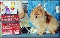 CodeReda.jpg (17201 bytes)