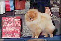 GrettaGarboa.jpg (15414 bytes)