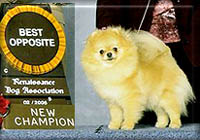 MissClarola.jpg (17058 bytes)