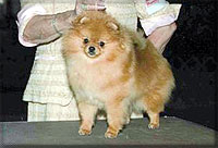 RhymeReasona.jpg (14554 bytes)