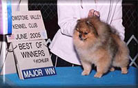 Rojoa.jpg (14052 bytes)