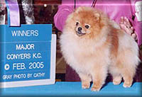 RushToJudgementa.jpg (14822 bytes)