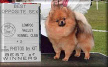 ToBeInPicturesa.jpg (12956 bytes)