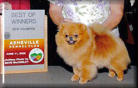 Bunnya.jpg (14681 bytes)