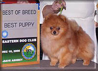 CeasarCha.jpg (14686 bytes)