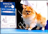 DolledUpCha.jpg (15108 bytes)