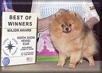 JackedUpa.jpg (16467 bytes)