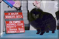 Maintenancea.jpg (13891 bytes)