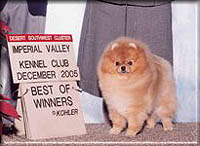 french1.jpg (15157 bytes)