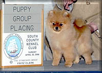 shakespearea.jpg (14610 bytes)