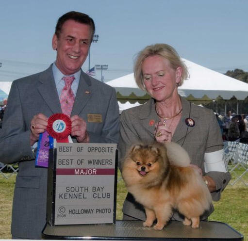 jan shar pomeranians