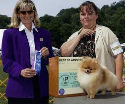 jan shar pomeranians