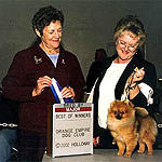 Disney.jpg (28694 bytes)