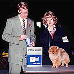 Dorothya.jpg (16554 bytes)