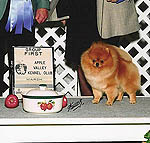 HailToChief.jpg (32834 bytes)