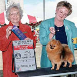 MotherNature.jpg (38410 bytes)