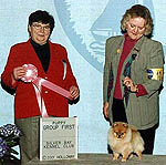 OopsIDidItAgain.jpg (33690 bytes)