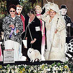 SnowWhitea.jpg (25407 bytes)