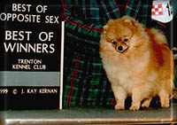 TouchThisa.JPG (16256 bytes)