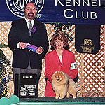 WhistleStopa.jpg (24928 bytes)