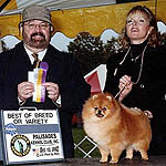 ralphlaurena.jpg (20165 bytes)