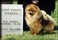 BRITTNEYa.jpg (16093 bytes)