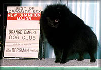 ChDAZa.jpg (13563 bytes)