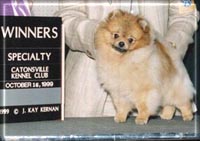 DOWJONESa.jpg (13623 bytes)