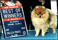 GoGirla.jpg (18715 bytes)