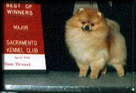 HAPPYa.jpg (16679 bytes)