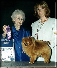 JAN-SHARSTHETRIBEHASSPOKENa.jpg (21157 bytes)