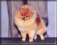 JOHNNYa.jpg (10982 bytes)