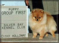 Jan-SharsOopsIDidItAgaina.jpg (13740 bytes)