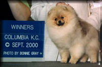 NStylea.jpg (11516 bytes)