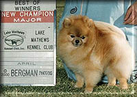 Rocky2a.jpg (16764 bytes)