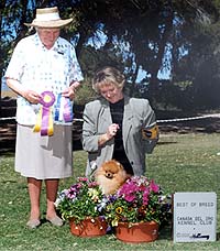 Trigger1BOBa.jpg (26038 bytes)