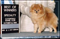 YtwoKbuga.jpg (13677 bytes)