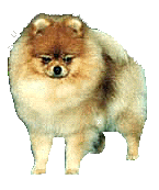 GoGirla.jpg (18715 bytes)