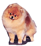 JOHNNYa.jpg (10982 bytes)