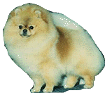 killer6a.jpg (10604 bytes)