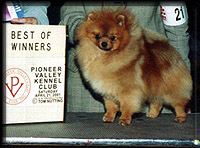 lambroginia.jpg (22490 bytes)