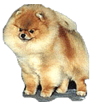 MosesVickya.jpg (13973 bytes)