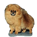 ORANGEJULIUSa.jpg (13305 bytes)