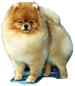 Tarzan1a.jpg (16774 bytes)