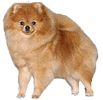 YtwoKbuga.jpg (13677 bytes)