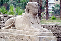 LUXOR218a.jpg (16246 bytes)